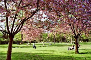 La réputation du bois de Boulogne
