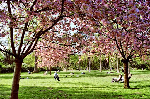 La réputation du bois de Boulogne